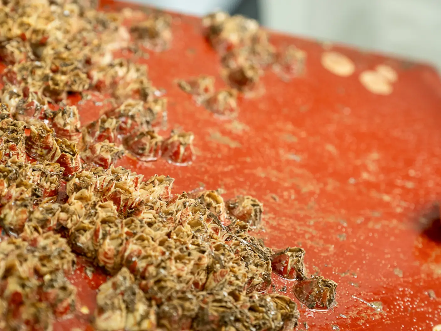 Rødt båtskrog med rur og groer