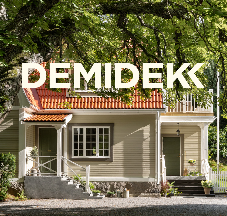 DEMIDEKK logga och bakgrund