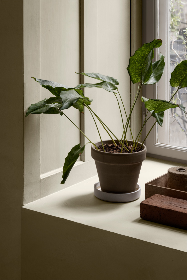 LADY Minerals 12075 Soothing Beige