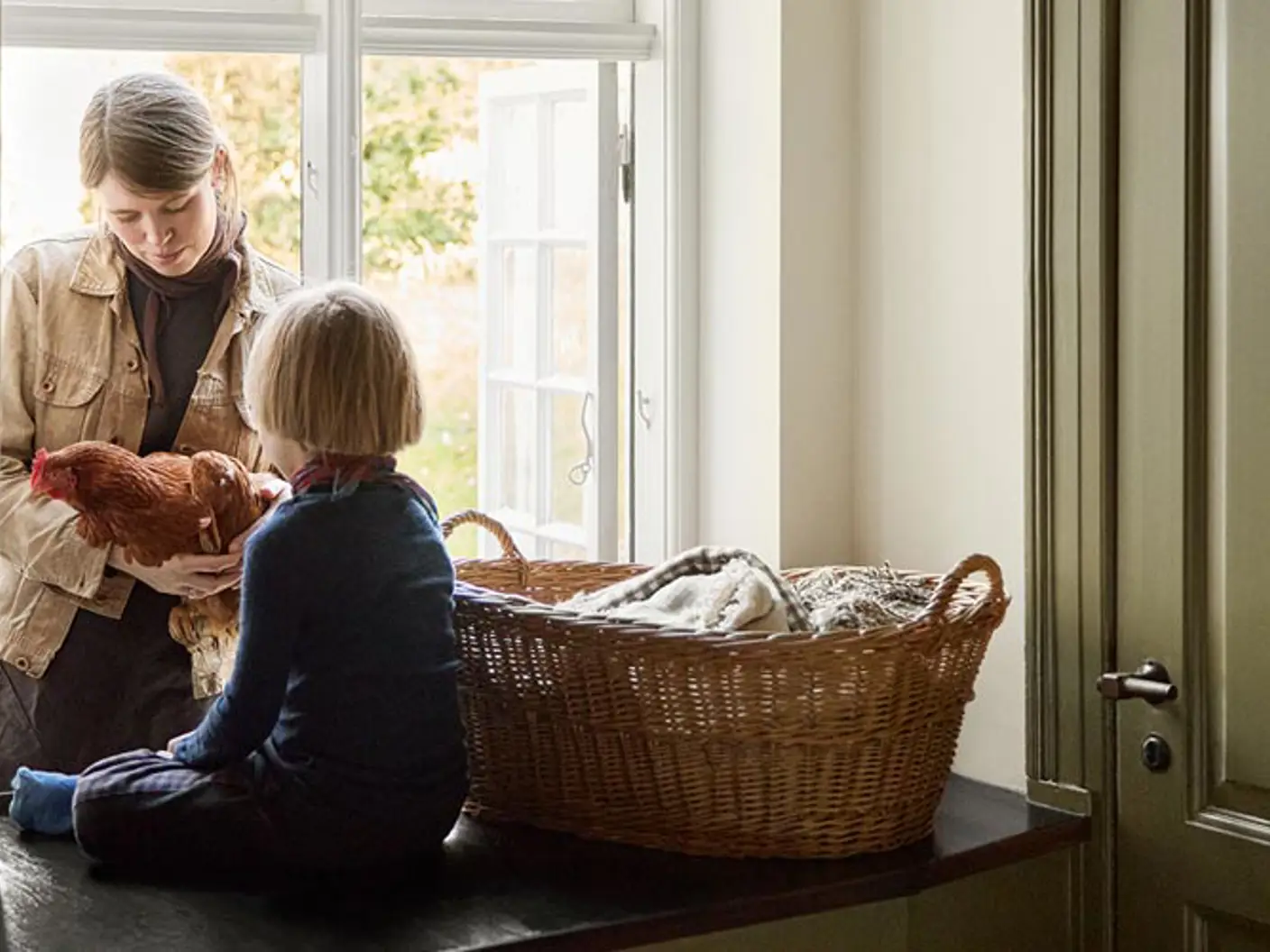 Colours rooted in nature