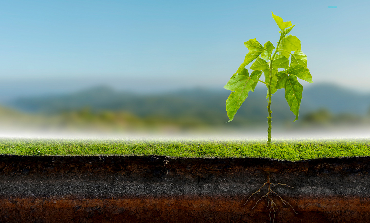 Indoor Water Use | LEED - Green Building