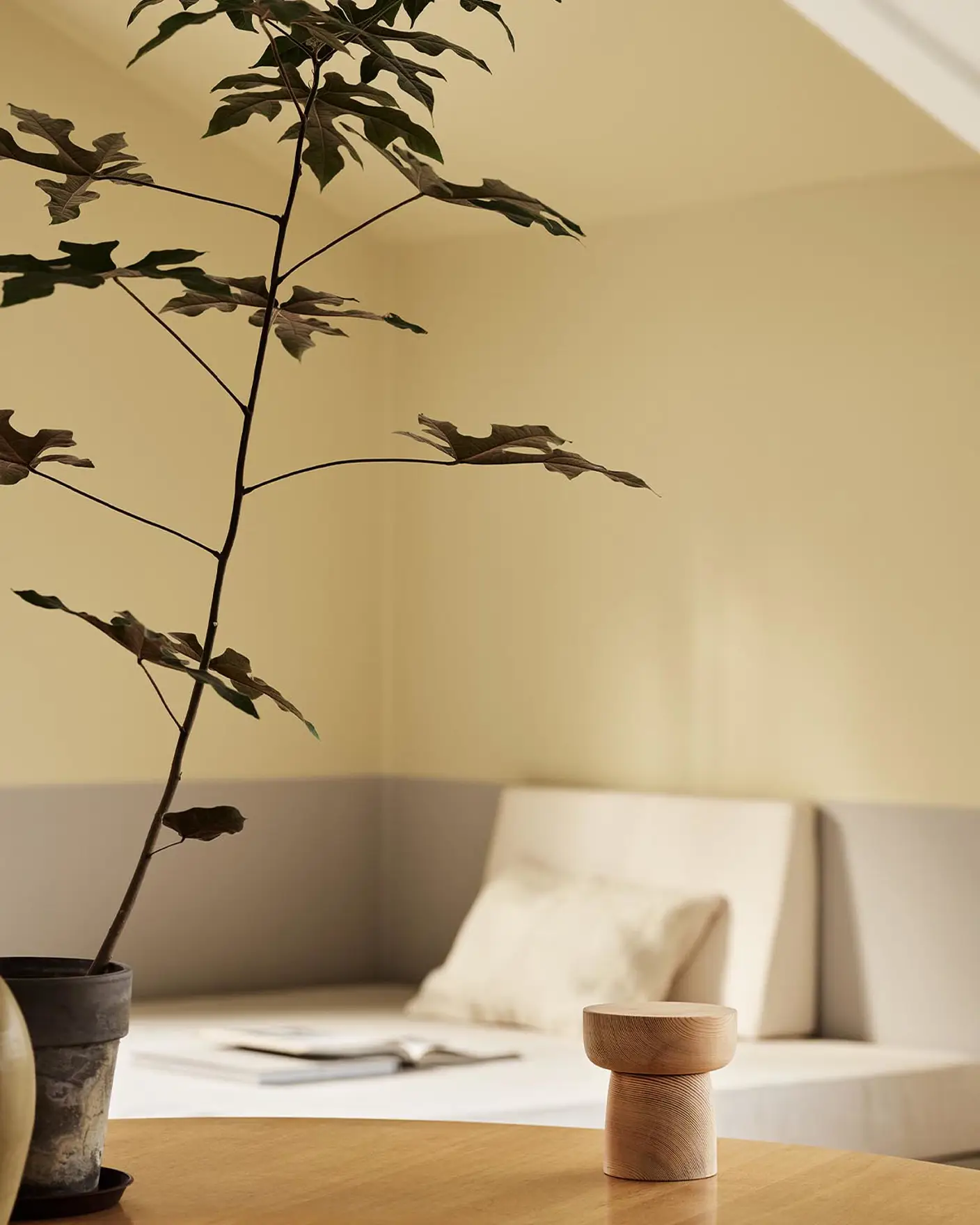 A potted plant and a daybed with light bedding against muted, greenish yellow walls painted in the colour 1965 Ginger Tea from Jotun.