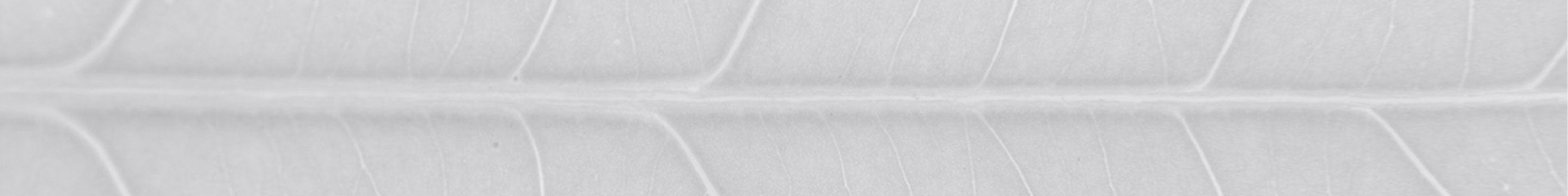 Miljömärkning och certifiering