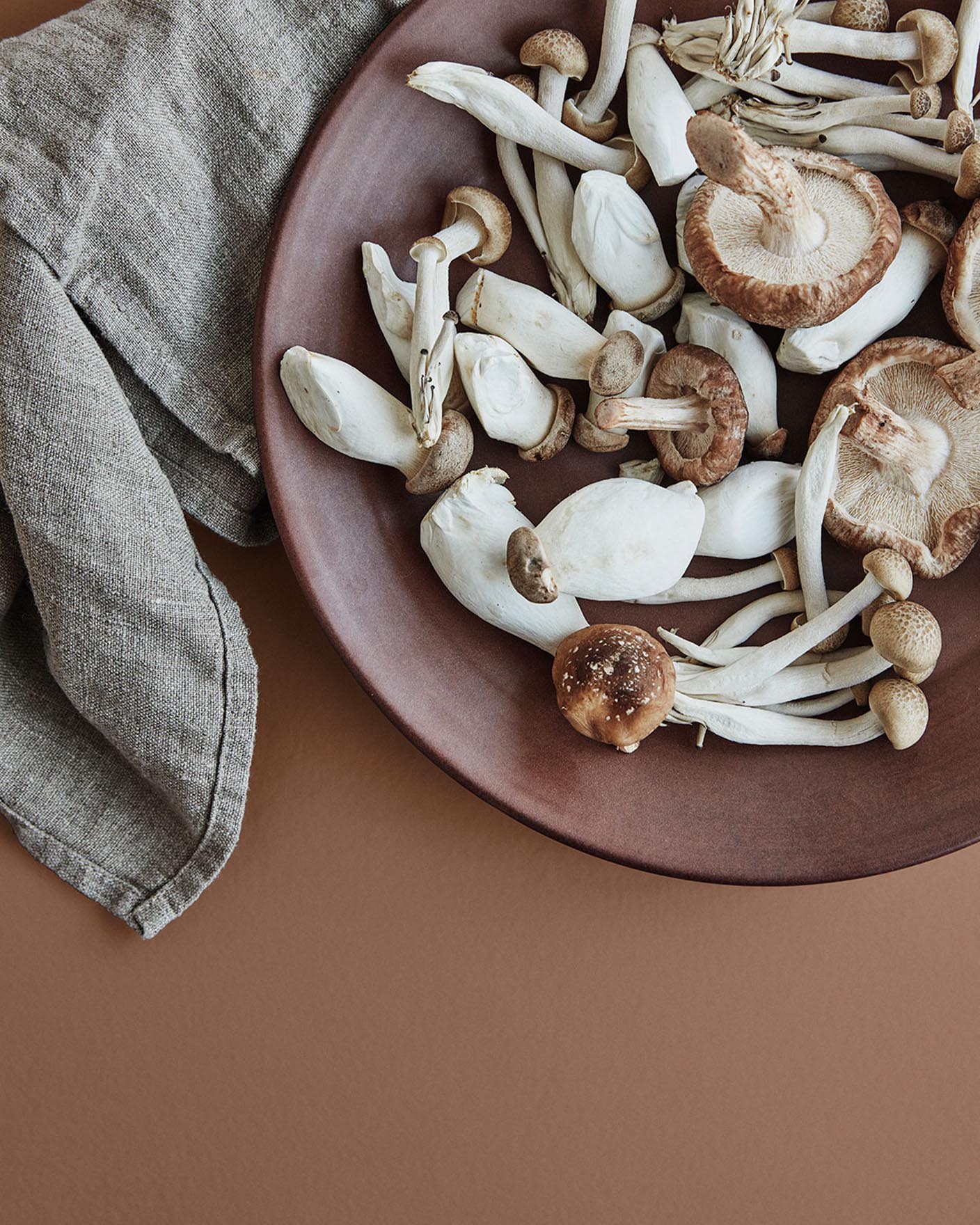Brown plate with assorted mushrooms on a rustic red surface in the colour 20120 Organic Red from Jotun.