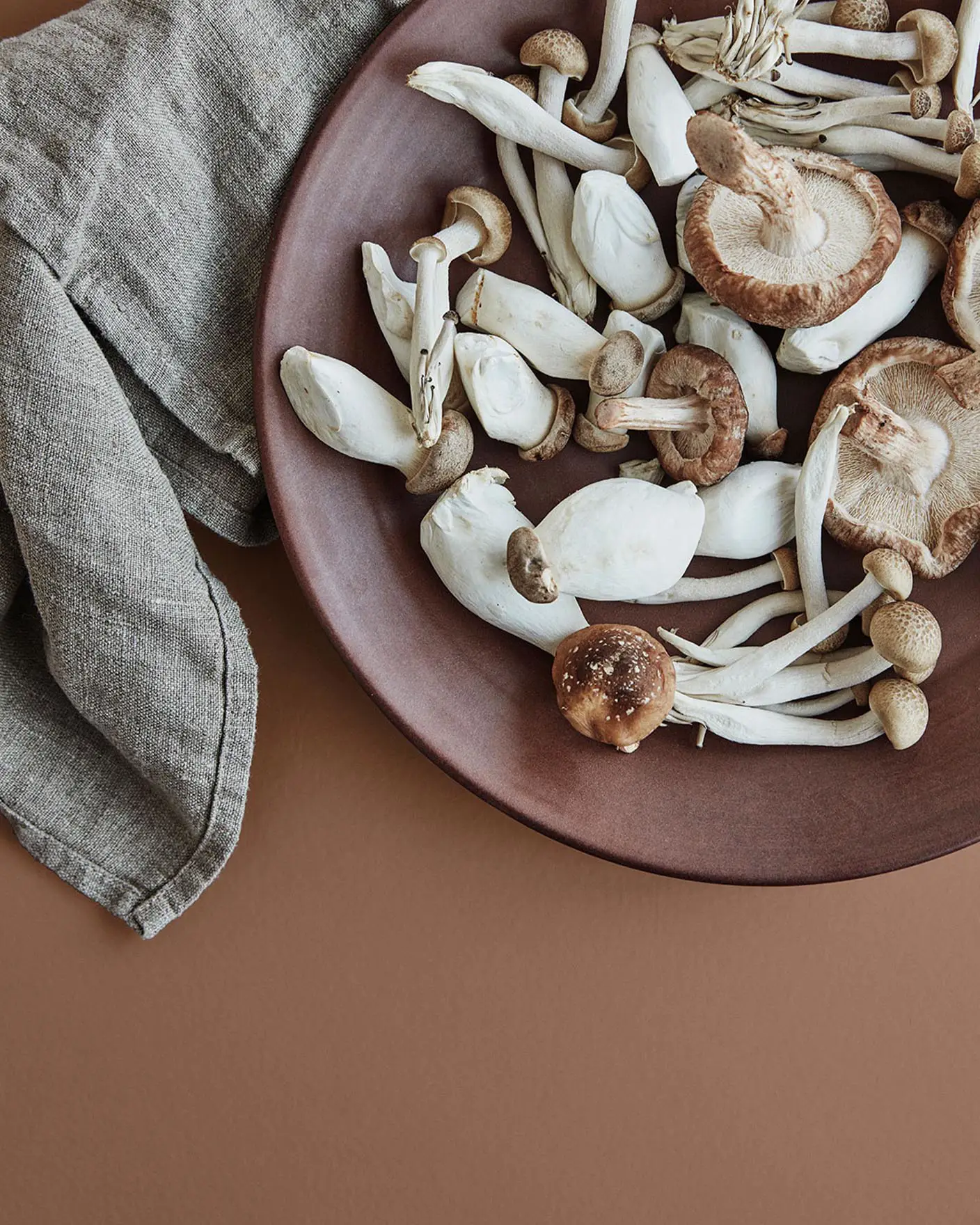 Brown plate with assorted mushrooms on a rustic red surface in the colour 20120 Organic Red from Jotun.