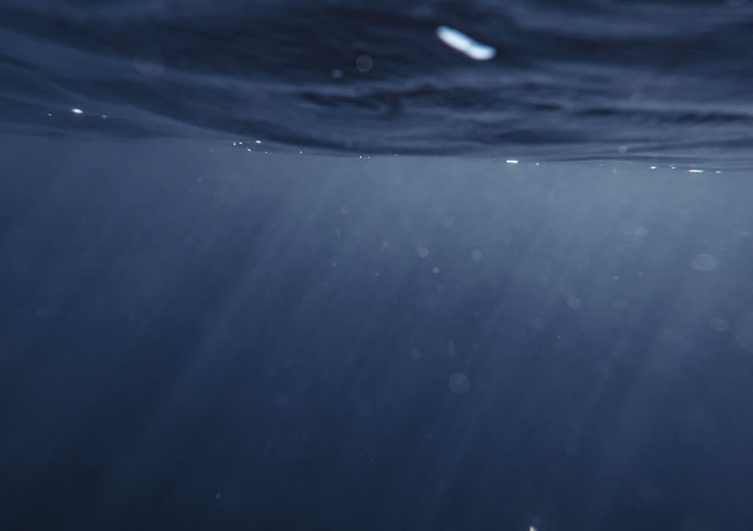 Bunnstoff og miljøet