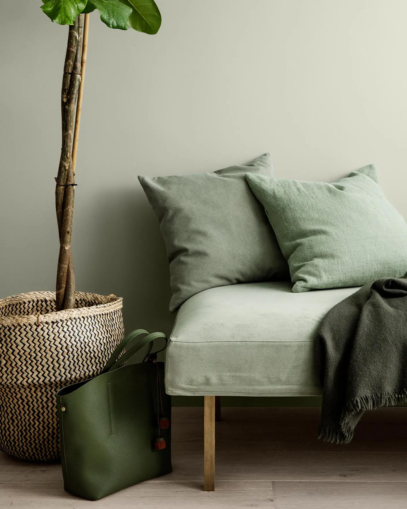 A light green sofa with matching cushions, a dark green throw and a woven basket, all set against a muted, yellowish green wall painted with Jotun 8281 Pale Linden.
