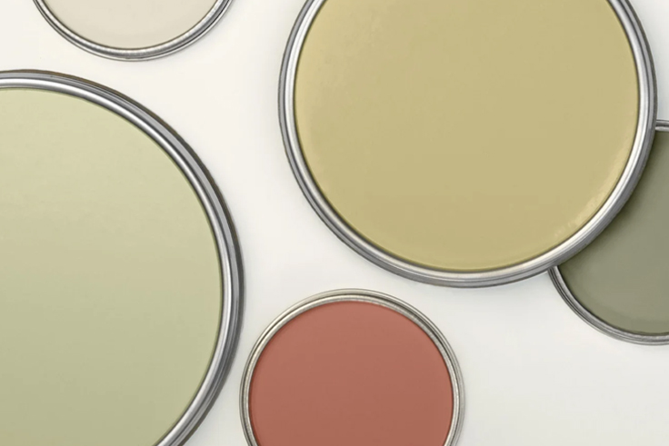 Our most beautiful colours