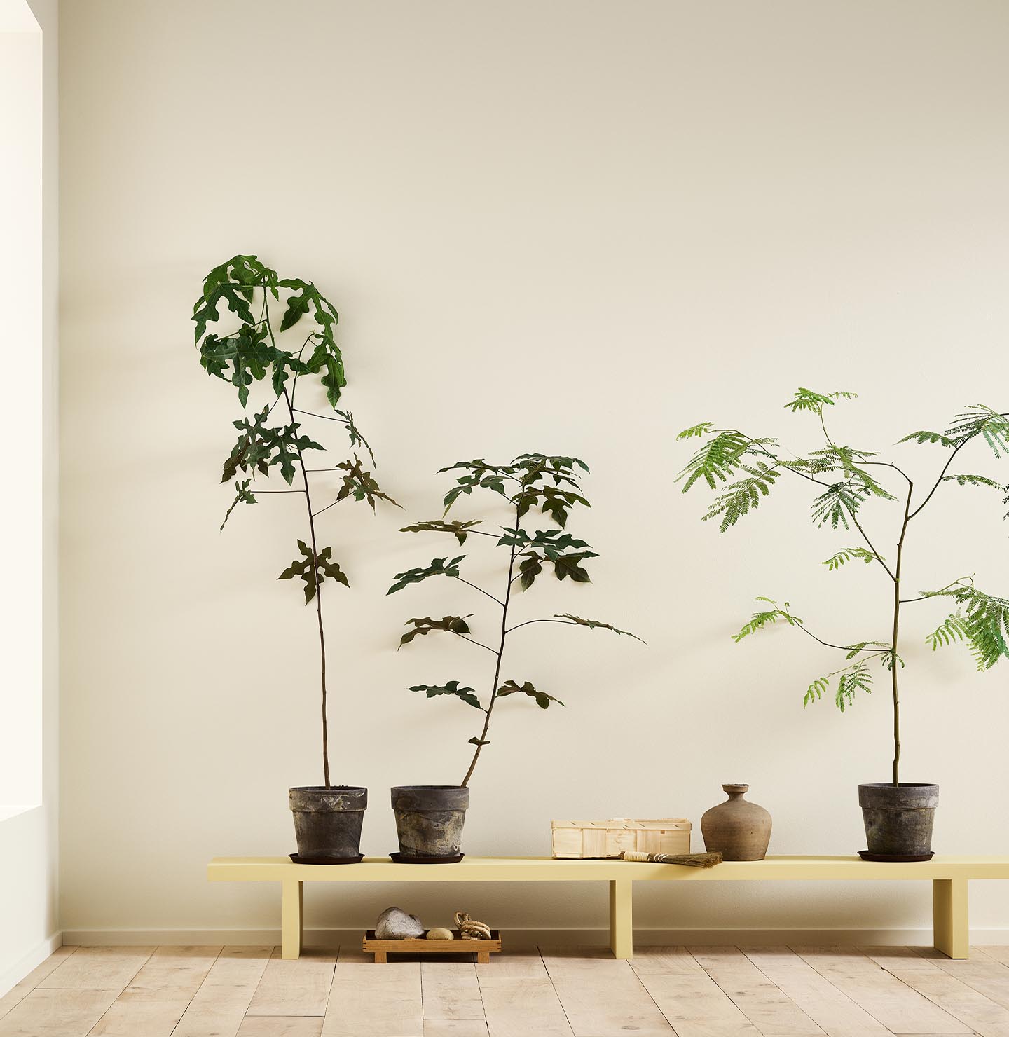 A yellow bench in the Jotun colour 1965 Ginger Tea against a golden, white wall painted in 1625 Soul.