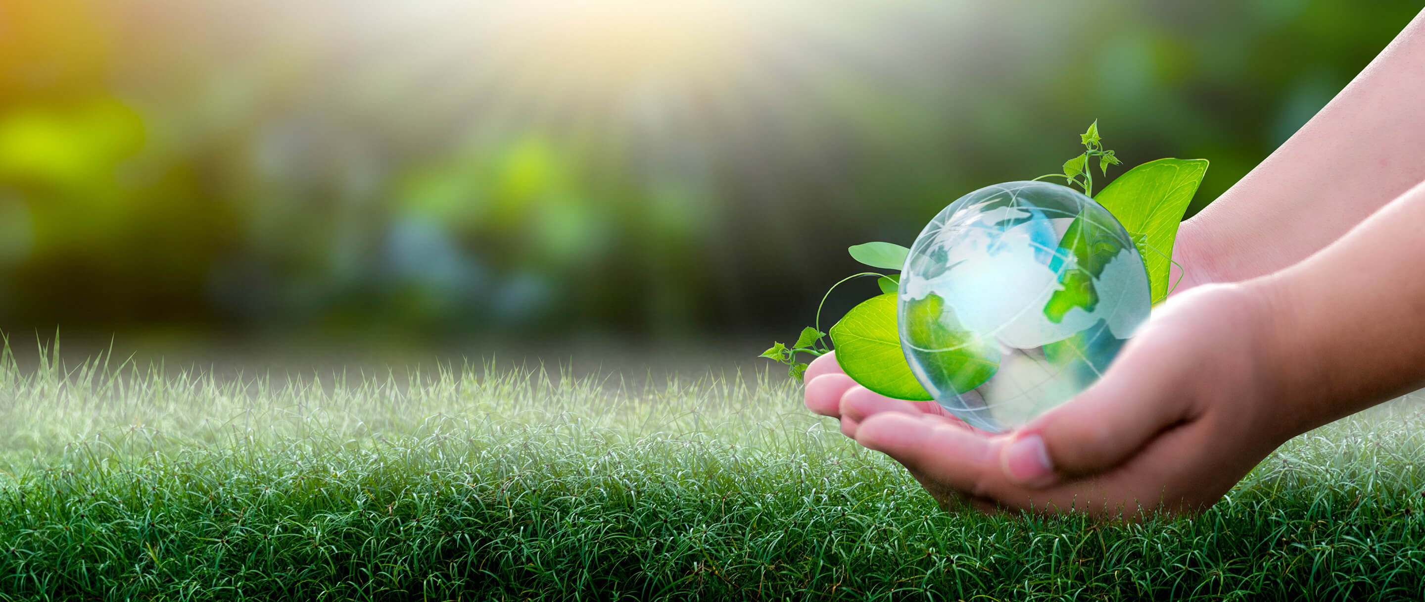 LEED - Green Building