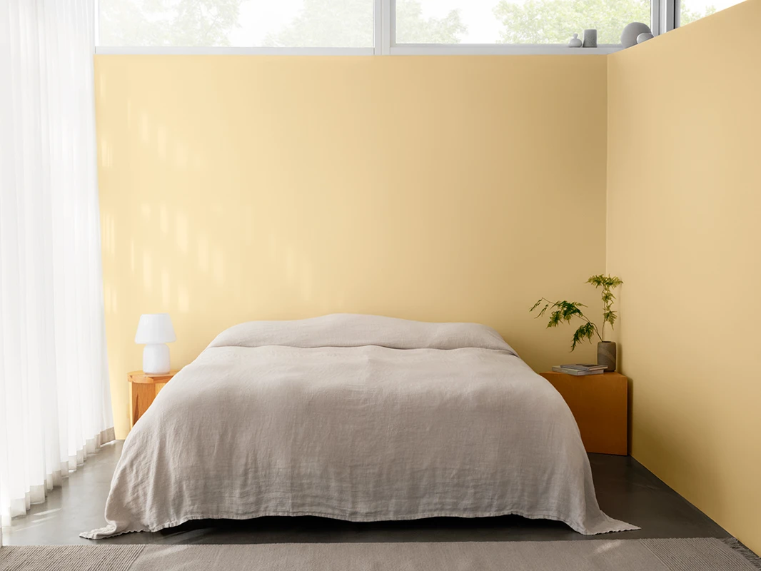 Bedroom yellow fresh pasta