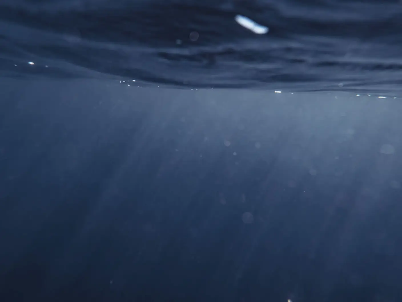 Under havoverflaten lever det mange organismer feste seg til båten og lage begroing