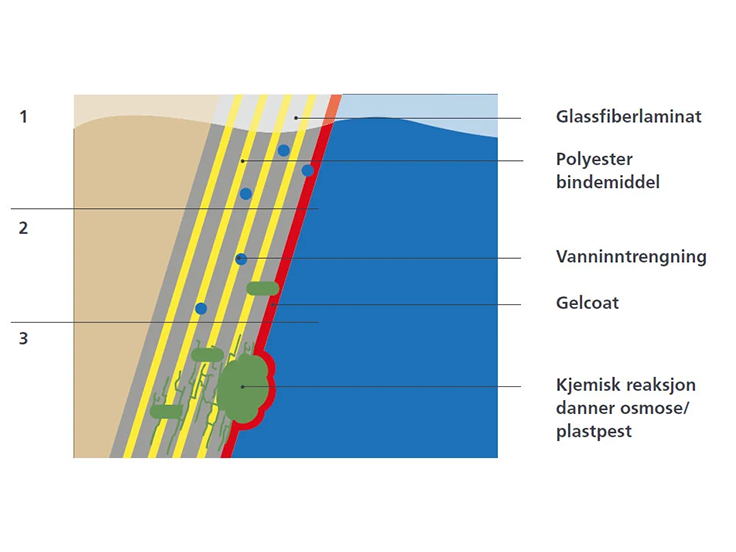Illustrasjon som viser hvordan plastpest (osmose) oppstår i gelcoat