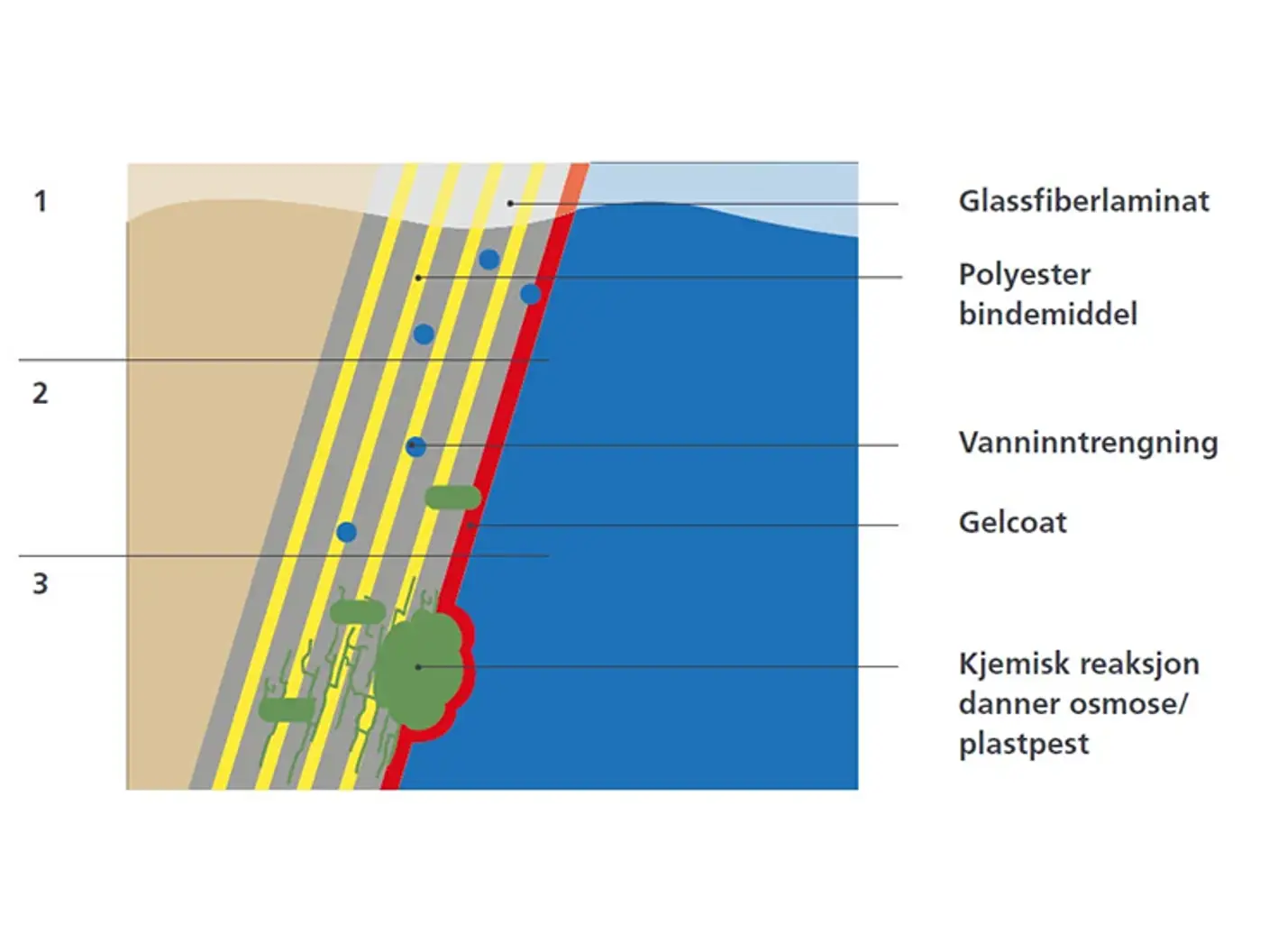 Illustrasjon som viser hvordan plastpest (osmose) oppstår i gelcoat