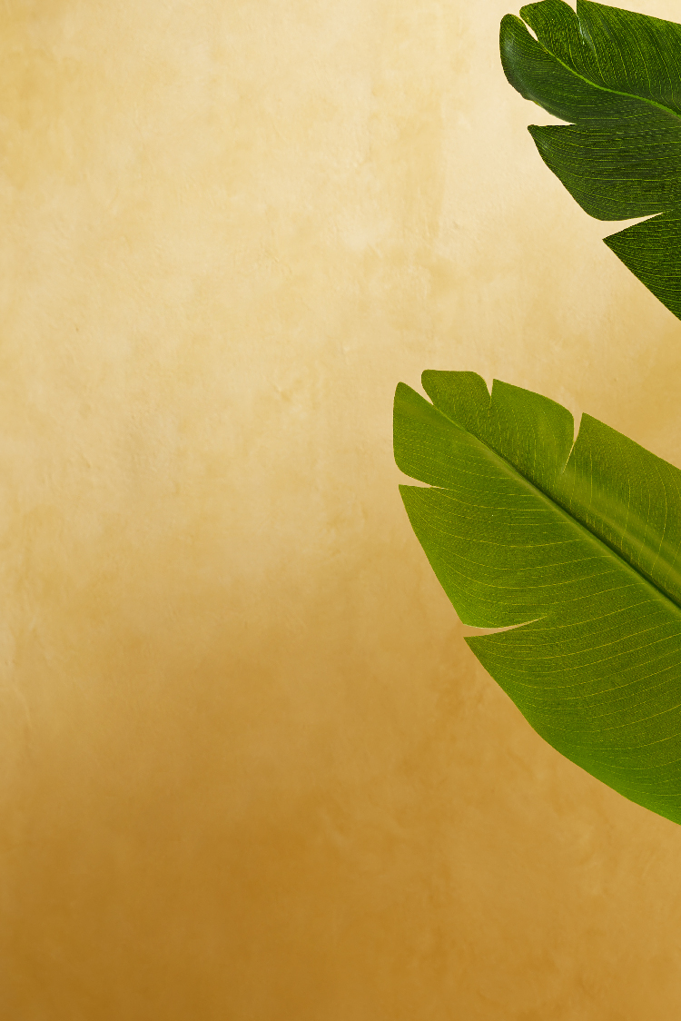 JOTUN 10428 MASALA 2 