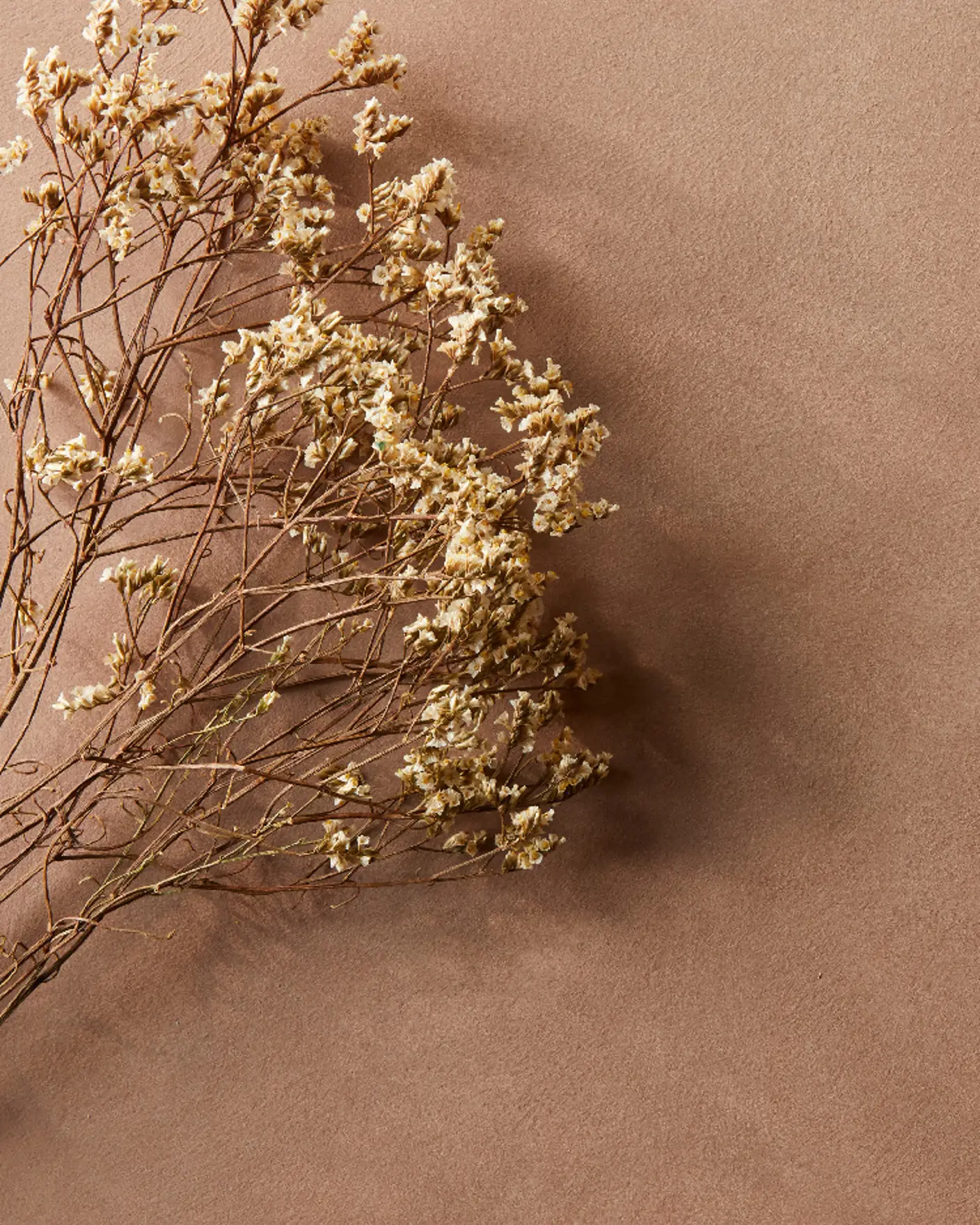 Jotun Sens 2024 Senses 2