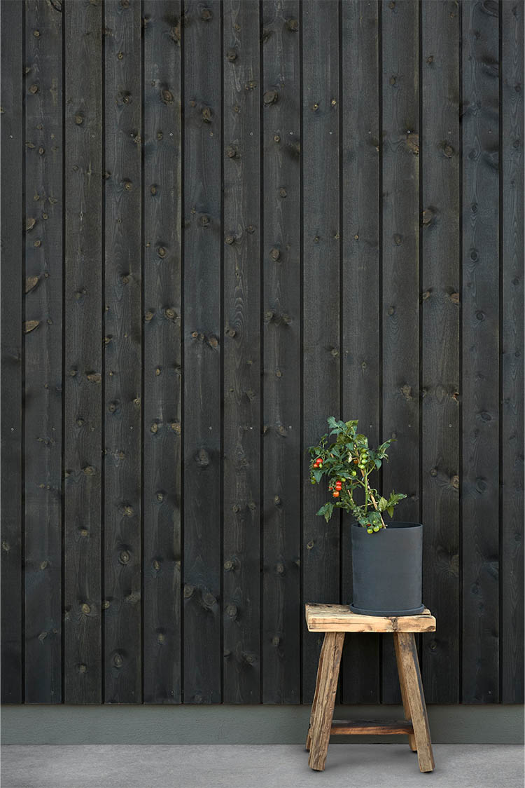 TREBITT 9809 Night Black - 1877 Valmuefrø